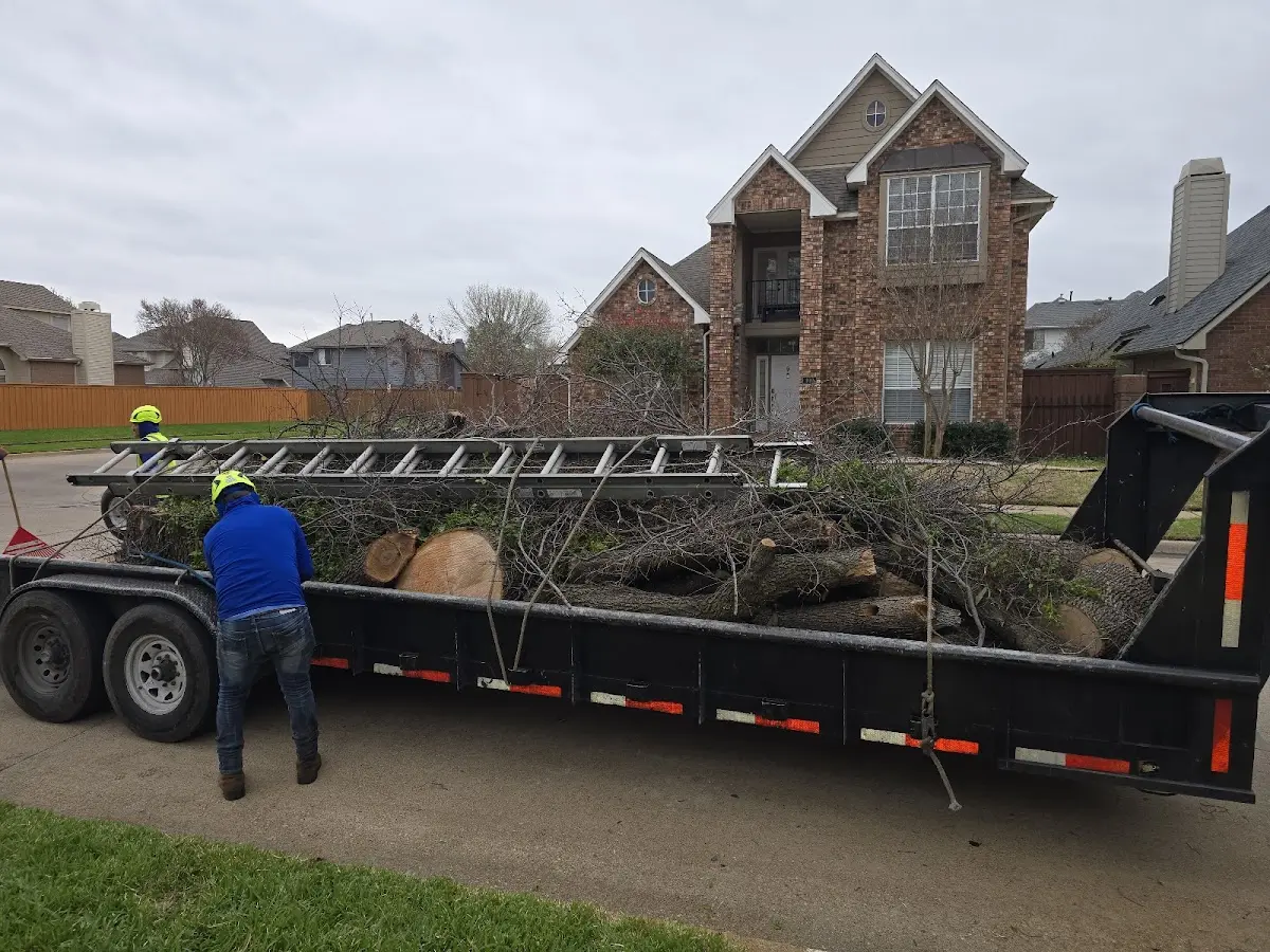 Expert Tree Fertilization with proper safety equipment in Olivebridge